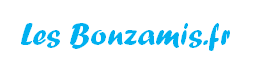 lesbonzamis.fr